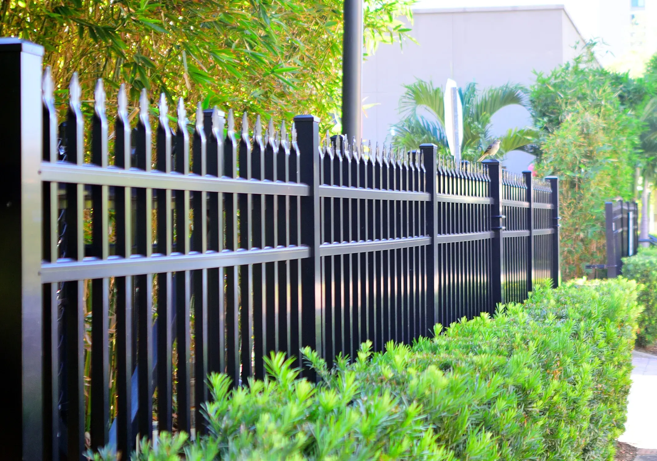 fence installation